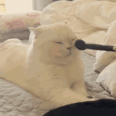 化妆师日常必备：想要更好看还得靠它们