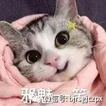 俏皮精致的圣诞小烟熏,闪耀你的圣诞趴!