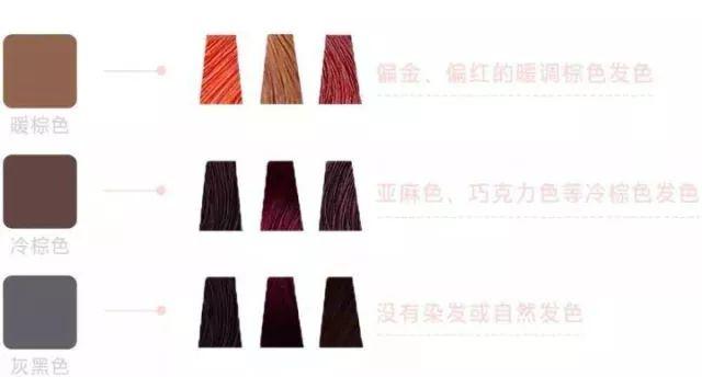 工具画眉全攻略,不会选眉笔看这里~