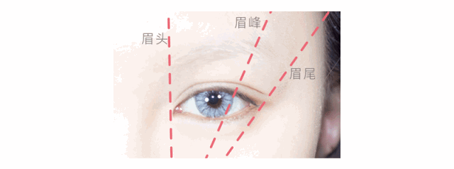 工具画眉全攻略,不会选眉笔看这里~