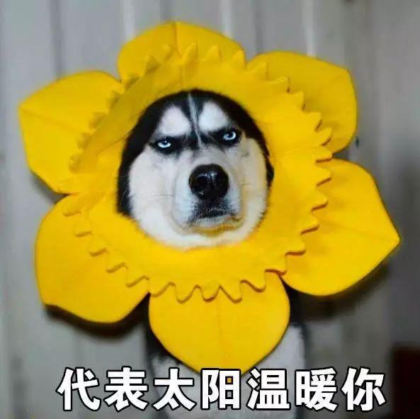 把春天画在手上,百搭款式承包你的春季美甲