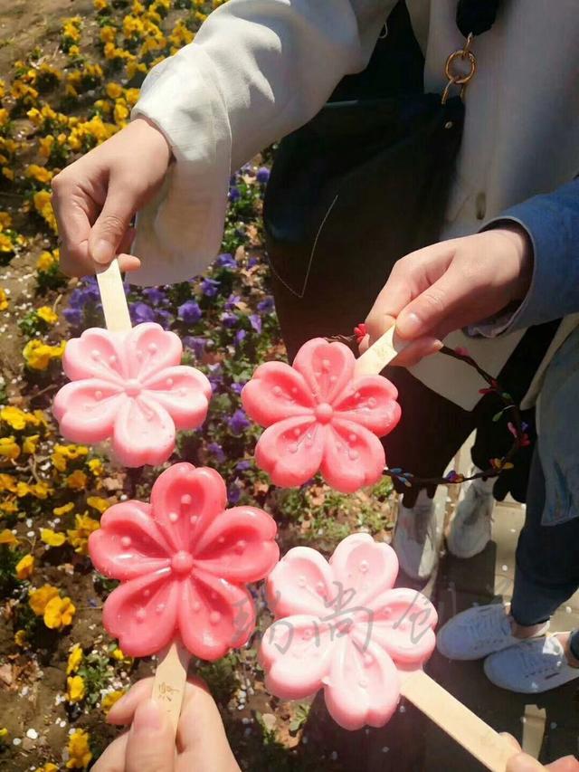 春游一时爽,一直春游一直爽!